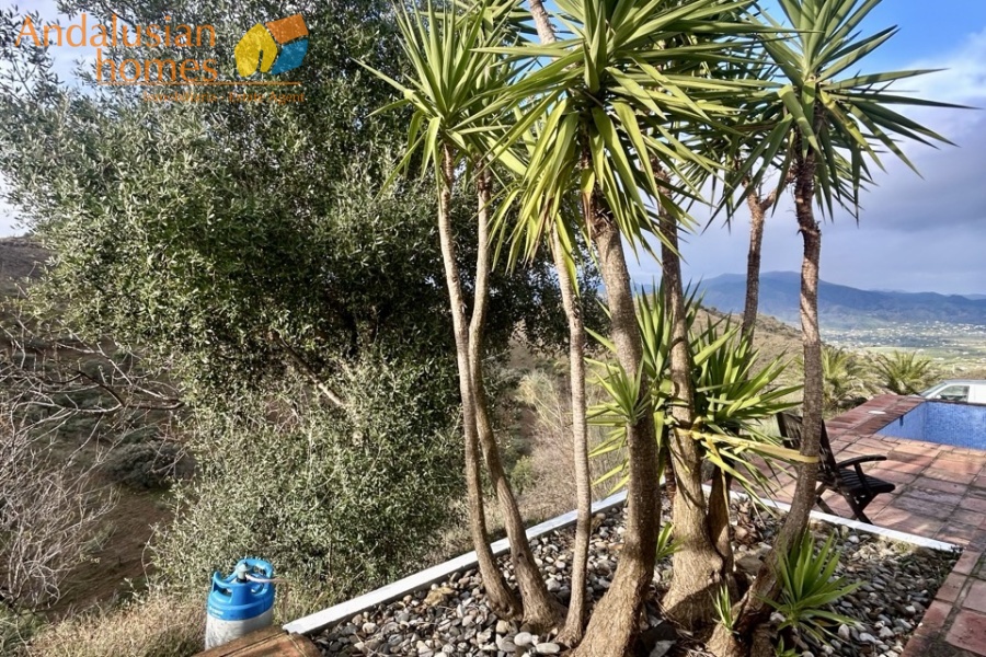 country home Álora, house for sale Álora, rural property Málaga, detached villa Spain, countryside villa Andalusia, house with pool Álora, panoramic views property Spain, finca for sale Málaga, large plot property Spain, real estate Álora, villa near train station Álora, Andalusian country house
