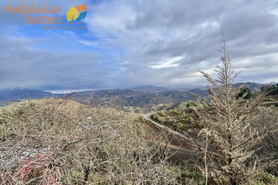 country home Álora, house for sale Álora, rural property Málaga, detached villa Spain, countryside villa Andalusia, house with pool Álora, panoramic views property Spain, finca for sale Málaga, large plot property Spain, real estate Álora, villa near train station Álora, Andalusian country house
