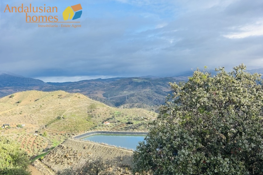country home Álora, house for sale Álora, rural property Málaga, detached villa Spain, countryside villa Andalusia, house with pool Álora, panoramic views property Spain, finca for sale Málaga, large plot property Spain, real estate Álora, villa near train station Álora, Andalusian country house
