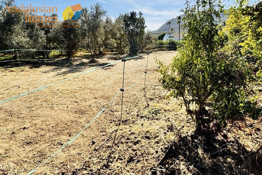 finca rústica Álora, casa de campo Málaga, propiedad rural España, finca con piscina Álora, casa no hipotecable España, finca ecuestre Málaga, casa con terreno 3000m2, propiedad con pozo agua España, rural property Andalusia, horse property Spain, country house near Álora, finca en venta Málaga, casa con vistas montaña Andalucía
