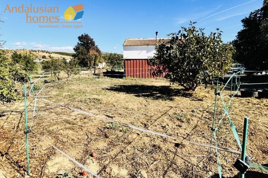finca rústica Álora, casa de campo Málaga, propiedad rural España, finca con piscina Álora, casa no hipotecable España, finca ecuestre Málaga, casa con terreno 3000m2, propiedad con pozo agua España, rural property Andalusia, horse property Spain, country house near Álora, finca en venta Málaga, casa con vistas montaña Andalucía
