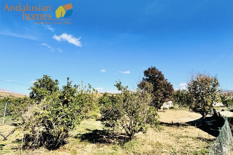 finca rústica Álora, casa de campo Málaga, propiedad rural España, finca con piscina Álora, casa no hipotecable España, finca ecuestre Málaga, casa con terreno 3000m2, propiedad con pozo agua España, rural property Andalusia, horse property Spain, country house near Álora, finca en venta Málaga, casa con vistas montaña Andalucía
