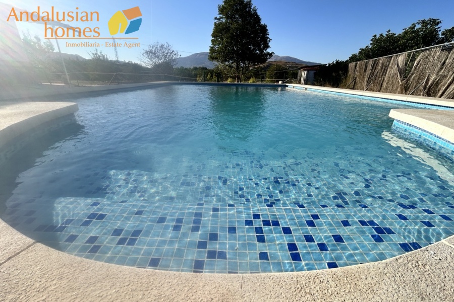 finca rústica Álora, casa de campo Málaga, propiedad rural España, finca con piscina Álora, casa no hipotecable España, finca ecuestre Málaga, casa con terreno 3000m2, propiedad con pozo agua España, rural property Andalusia, horse property Spain, country house near Álora, finca en venta Málaga, casa con vistas montaña Andalucía
