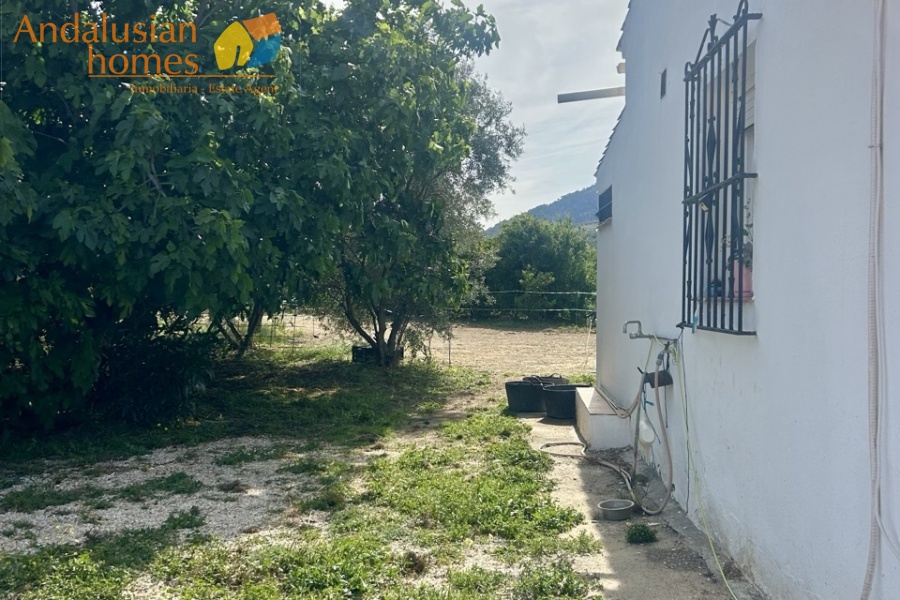 finca rústica Álora, casa de campo Málaga, propiedad rural España, finca con piscina Álora, casa no hipotecable España, finca ecuestre Málaga, casa con terreno 3000m2, propiedad con pozo agua España, rural property Andalusia, horse property Spain, country house near Álora, finca en venta Málaga, casa con vistas montaña Andalucía
