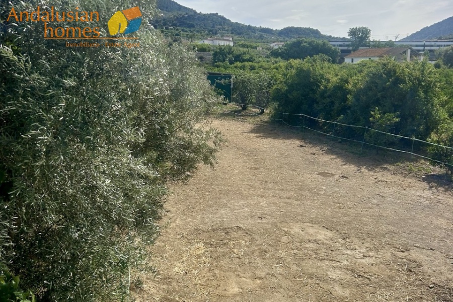 finca rústica Álora, casa de campo Málaga, propiedad rural España, finca con piscina Álora, casa no hipotecable España, finca ecuestre Málaga, casa con terreno 3000m2, propiedad con pozo agua España, rural property Andalusia, horse property Spain, country house near Álora, finca en venta Málaga, casa con vistas montaña Andalucía
