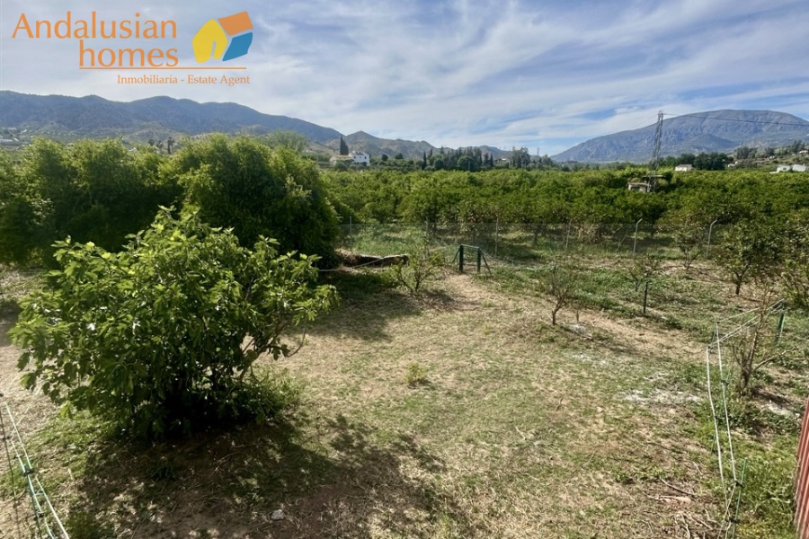 finca rústica Álora, casa de campo Málaga, propiedad rural España, finca con piscina Álora, casa no hipotecable España, finca ecuestre Málaga, casa con terreno 3000m2, propiedad con pozo agua España, rural property Andalusia, horse property Spain, country house near Álora, finca en venta Málaga, casa con vistas montaña Andalucía
