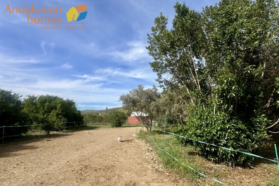 finca rústica Álora, casa de campo Málaga, propiedad rural España, finca con piscina Álora, casa no hipotecable España, finca ecuestre Málaga, casa con terreno 3000m2, propiedad con pozo agua España, rural property Andalusia, horse property Spain, country house near Álora, finca en venta Málaga, casa con vistas montaña Andalucía

