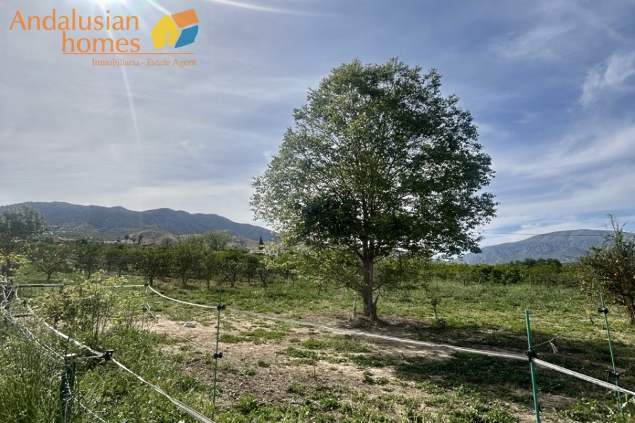 finca rústica Álora, casa de campo Málaga, propiedad rural España, finca con piscina Álora, casa no hipotecable España, finca ecuestre Málaga, casa con terreno 3000m2, propiedad con pozo agua España, rural property Andalusia, horse property Spain, country house near Álora, finca en venta Málaga, casa con vistas montaña Andalucía
