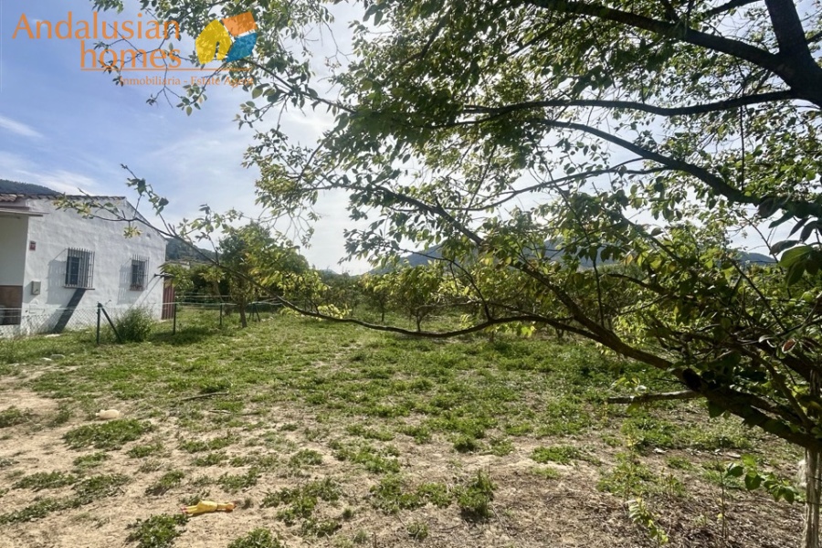 finca rústica Álora, casa de campo Málaga, propiedad rural España, finca con piscina Álora, casa no hipotecable España, finca ecuestre Málaga, casa con terreno 3000m2, propiedad con pozo agua España, rural property Andalusia, horse property Spain, country house near Álora, finca en venta Málaga, casa con vistas montaña Andalucía
