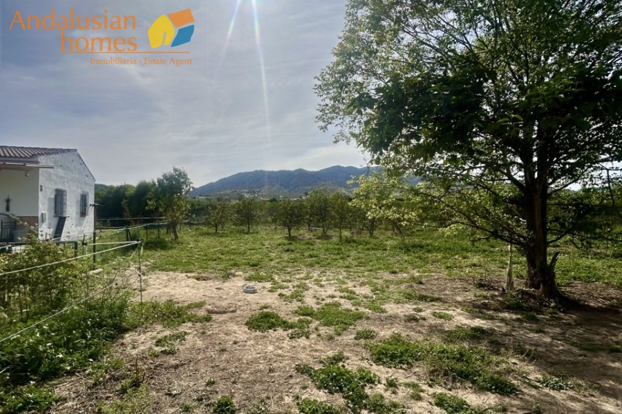 finca rústica Álora, casa de campo Málaga, propiedad rural España, finca con piscina Álora, casa no hipotecable España, finca ecuestre Málaga, casa con terreno 3000m2, propiedad con pozo agua España, rural property Andalusia, horse property Spain, country house near Álora, finca en venta Málaga, casa con vistas montaña Andalucía
