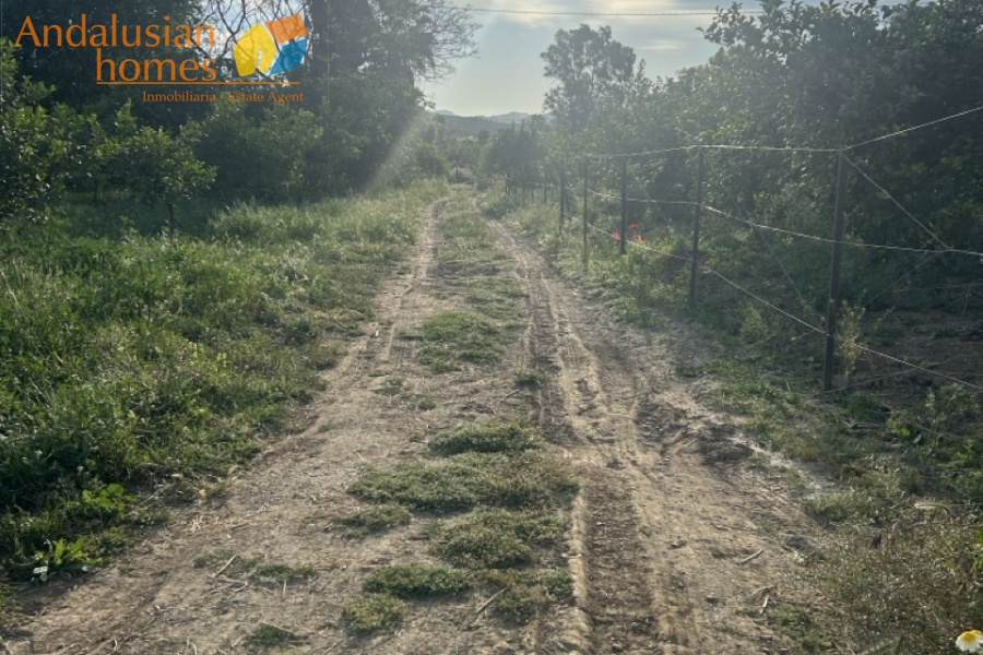 finca rústica Álora, casa de campo Málaga, propiedad rural España, finca con piscina Álora, casa no hipotecable España, finca ecuestre Málaga, casa con terreno 3000m2, propiedad con pozo agua España, rural property Andalusia, horse property Spain, country house near Álora, finca en venta Málaga, casa con vistas montaña Andalucía
