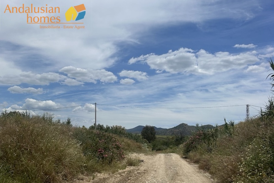 finca rústica Álora, casa de campo Málaga, propiedad rural España, finca con piscina Álora, casa no hipotecable España, finca ecuestre Málaga, casa con terreno 3000m2, propiedad con pozo agua España, rural property Andalusia, horse property Spain, country house near Álora, finca en venta Málaga, casa con vistas montaña Andalucía
