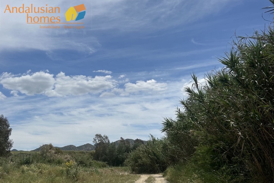 finca rústica Álora, casa de campo Málaga, propiedad rural España, finca con piscina Álora, casa no hipotecable España, finca ecuestre Málaga, casa con terreno 3000m2, propiedad con pozo agua España, rural property Andalusia, horse property Spain, country house near Álora, finca en venta Málaga, casa con vistas montaña Andalucía
