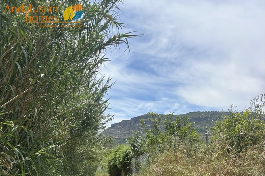 finca rústica Álora, casa de campo Málaga, propiedad rural España, finca con piscina Álora, casa no hipotecable España, finca ecuestre Málaga, casa con terreno 3000m2, propiedad con pozo agua España, rural property Andalusia, horse property Spain, country house near Álora, finca en venta Málaga, casa con vistas montaña Andalucía
