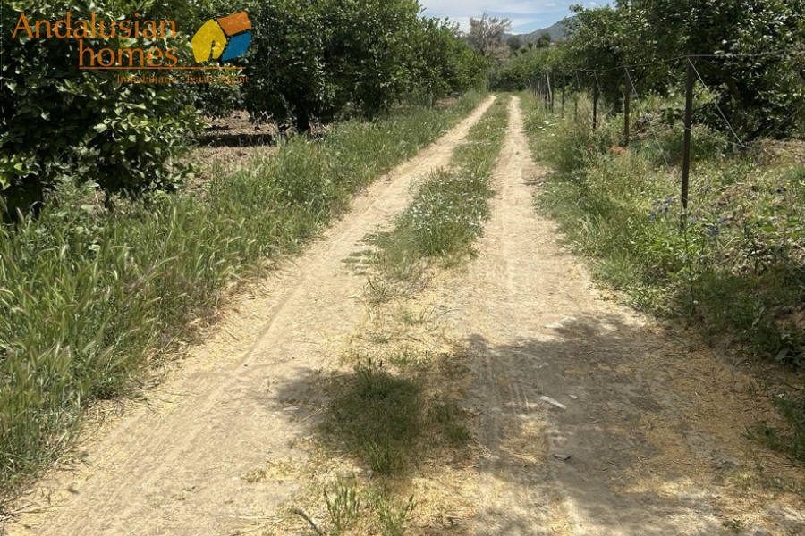 finca rústica Álora, casa de campo Málaga, propiedad rural España, finca con piscina Álora, casa no hipotecable España, finca ecuestre Málaga, casa con terreno 3000m2, propiedad con pozo agua España, rural property Andalusia, horse property Spain, country house near Álora, finca en venta Málaga, casa con vistas montaña Andalucía
