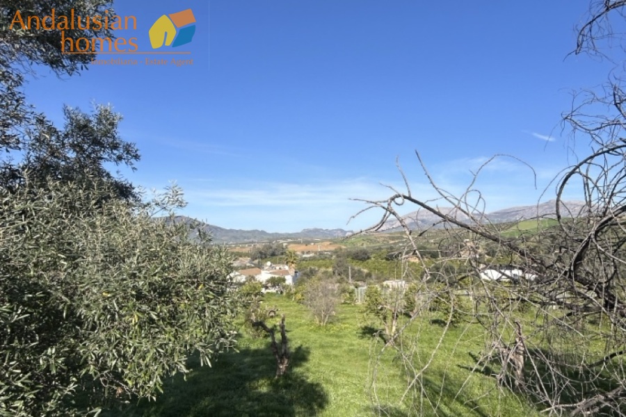 country estate Spain, finca for sale Spain, rural property Spain, investment property Spain, renovation project Spain, finca with land Spain, country house with apartments, rural tourism property Spain, retreat property Spain, large plot property Spain, finca with pool Spain, estate with stables Spain, Andalusian finca, property with potential Spain, inland Spain property, finca with guest accommodation, real estate investment Spain, countryside property Spain, finca 8 bedrooms Spain, off market opportunity Spain
