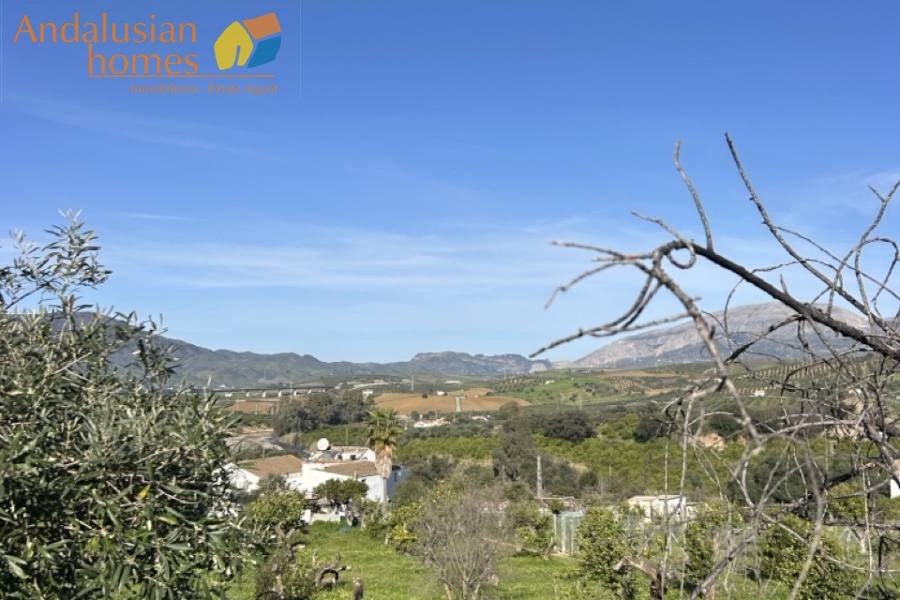 country estate Spain, finca for sale Spain, rural property Spain, investment property Spain, renovation project Spain, finca with land Spain, country house with apartments, rural tourism property Spain, retreat property Spain, large plot property Spain, finca with pool Spain, estate with stables Spain, Andalusian finca, property with potential Spain, inland Spain property, finca with guest accommodation, real estate investment Spain, countryside property Spain, finca 8 bedrooms Spain, off market opportunity Spain
