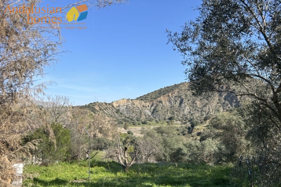 country estate Spain, finca for sale Spain, rural property Spain, investment property Spain, renovation project Spain, finca with land Spain, country house with apartments, rural tourism property Spain, retreat property Spain, large plot property Spain, finca with pool Spain, estate with stables Spain, Andalusian finca, property with potential Spain, inland Spain property, finca with guest accommodation, real estate investment Spain, countryside property Spain, finca 8 bedrooms Spain, off market opportunity Spain
