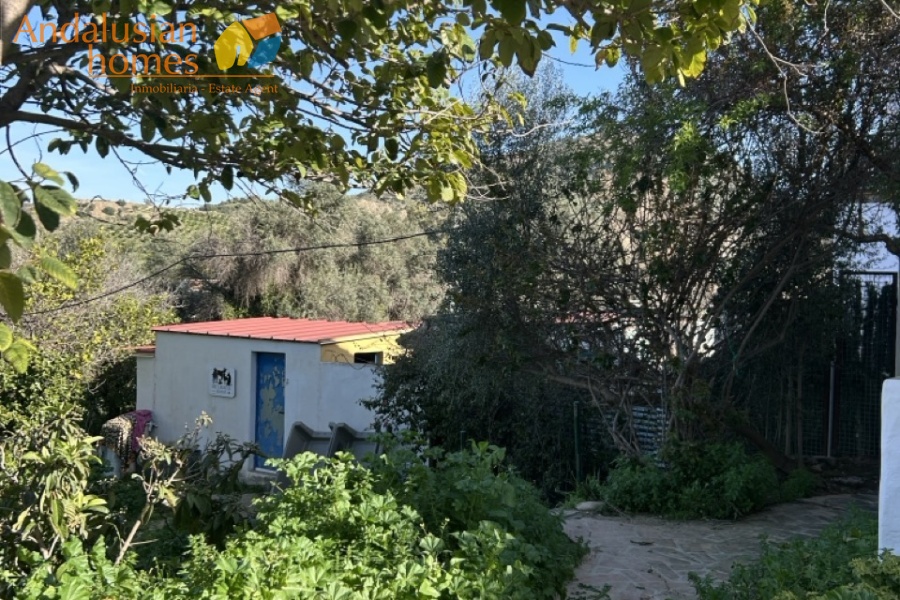 country estate Spain, finca for sale Spain, rural property Spain, investment property Spain, renovation project Spain, finca with land Spain, country house with apartments, rural tourism property Spain, retreat property Spain, large plot property Spain, finca with pool Spain, estate with stables Spain, Andalusian finca, property with potential Spain, inland Spain property, finca with guest accommodation, real estate investment Spain, countryside property Spain, finca 8 bedrooms Spain, off market opportunity Spain

