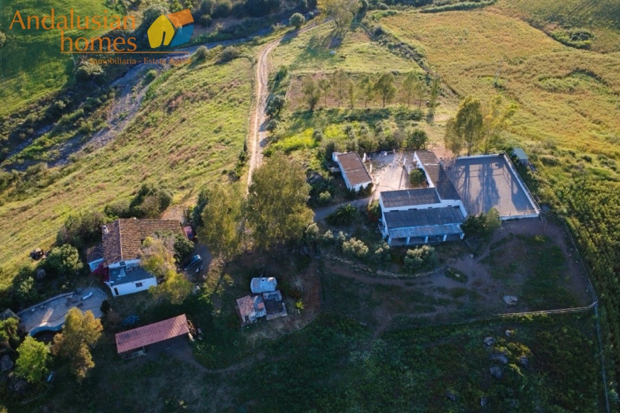 finca for sale, property for sale Álora, finca for sale Málaga, equestrian property Spain, horse property Spain, equestrian finca Málaga, country house Álora, rural property Málaga, Spanish finca, Andalusian finca, property with stables, horse finca, finca with guest apartments, property with guest accommodation, finca with swimming pool, 32,000m2 finca, land for sale Álora, horse riding property Spain, OCA horse licence, property with riding arenas, rural retreat Spain, investment property Málaga, multi-family property Spain, country estate Málaga,finca en venta, finca en venta Álora, finca en venta Málaga, propiedad ecuestre España, finca ecuestre Málaga, finca para caballos, propiedad rural Álora, casa de campo Málaga, finca rústica Andalucía, finca andaluza, propiedad con establos, finca con boxes para caballos, finca con apartamentos, finca con alojamiento independiente, finca con piscina, finca de 32.000 m², terreno en venta Álora, propiedad para caballos España, licencia OCA caballos, finca con pistas ecuestres, propiedad rural Andalucía, finca para inversión Málaga, finca con apartamentos independientes, cortijo en venta Málaga, finca privada Álora