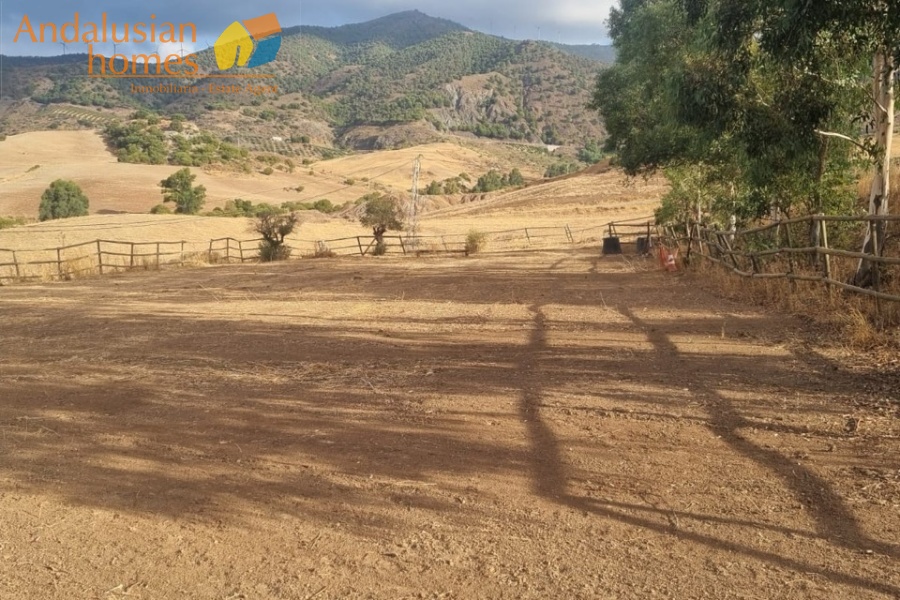 finca for sale, property for sale Álora, finca for sale Málaga, equestrian property Spain, horse property Spain, equestrian finca Málaga, country house Álora, rural property Málaga, Spanish finca, Andalusian finca, property with stables, horse finca, finca with guest apartments, property with guest accommodation, finca with swimming pool, 32,000m2 finca, land for sale Álora, horse riding property Spain, OCA horse licence, property with riding arenas, rural retreat Spain, investment property Málaga, multi-family property Spain, country estate Málaga,finca en venta, finca en venta Álora, finca en venta Málaga, propiedad ecuestre España, finca ecuestre Málaga, finca para caballos, propiedad rural Álora, casa de campo Málaga, finca rústica Andalucía, finca andaluza, propiedad con establos, finca con boxes para caballos, finca con apartamentos, finca con alojamiento independiente, finca con piscina, finca de 32.000 m², terreno en venta Álora, propiedad para caballos España, licencia OCA caballos, finca con pistas ecuestres, propiedad rural Andalucía, finca para inversión Málaga, finca con apartamentos independientes, cortijo en venta Málaga, finca privada Álora