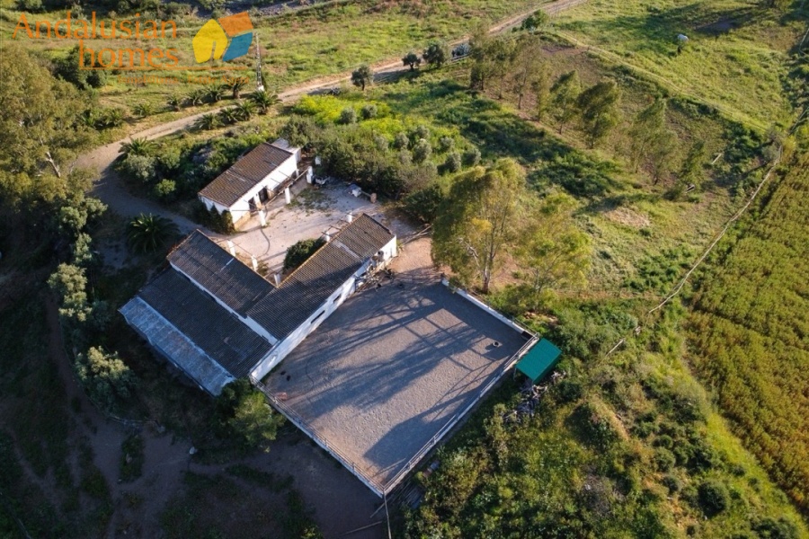 finca for sale, property for sale Álora, finca for sale Málaga, equestrian property Spain, horse property Spain, equestrian finca Málaga, country house Álora, rural property Málaga, Spanish finca, Andalusian finca, property with stables, horse finca, finca with guest apartments, property with guest accommodation, finca with swimming pool, 32,000m2 finca, land for sale Álora, horse riding property Spain, OCA horse licence, property with riding arenas, rural retreat Spain, investment property Málaga, multi-family property Spain, country estate Málaga,finca en venta, finca en venta Álora, finca en venta Málaga, propiedad ecuestre España, finca ecuestre Málaga, finca para caballos, propiedad rural Álora, casa de campo Málaga, finca rústica Andalucía, finca andaluza, propiedad con establos, finca con boxes para caballos, finca con apartamentos, finca con alojamiento independiente, finca con piscina, finca de 32.000 m², terreno en venta Álora, propiedad para caballos España, licencia OCA caballos, finca con pistas ecuestres, propiedad rural Andalucía, finca para inversión Málaga, finca con apartamentos independientes, cortijo en venta Málaga, finca privada Álora