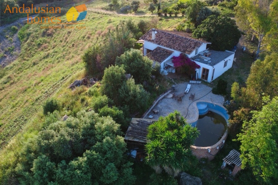 finca for sale, property for sale Álora, finca for sale Málaga, equestrian property Spain, horse property Spain, equestrian finca Málaga, country house Álora, rural property Málaga, Spanish finca, Andalusian finca, property with stables, horse finca, finca with guest apartments, property with guest accommodation, finca with swimming pool, 32,000m2 finca, land for sale Álora, horse riding property Spain, OCA horse licence, property with riding arenas, rural retreat Spain, investment property Málaga, multi-family property Spain, country estate Málaga,finca en venta, finca en venta Álora, finca en venta Málaga, propiedad ecuestre España, finca ecuestre Málaga, finca para caballos, propiedad rural Álora, casa de campo Málaga, finca rústica Andalucía, finca andaluza, propiedad con establos, finca con boxes para caballos, finca con apartamentos, finca con alojamiento independiente, finca con piscina, finca de 32.000 m², terreno en venta Álora, propiedad para caballos España, licencia OCA caballos, finca con pistas ecuestres, propiedad rural Andalucía, finca para inversión Málaga, finca con apartamentos independientes, cortijo en venta Málaga, finca privada Álora