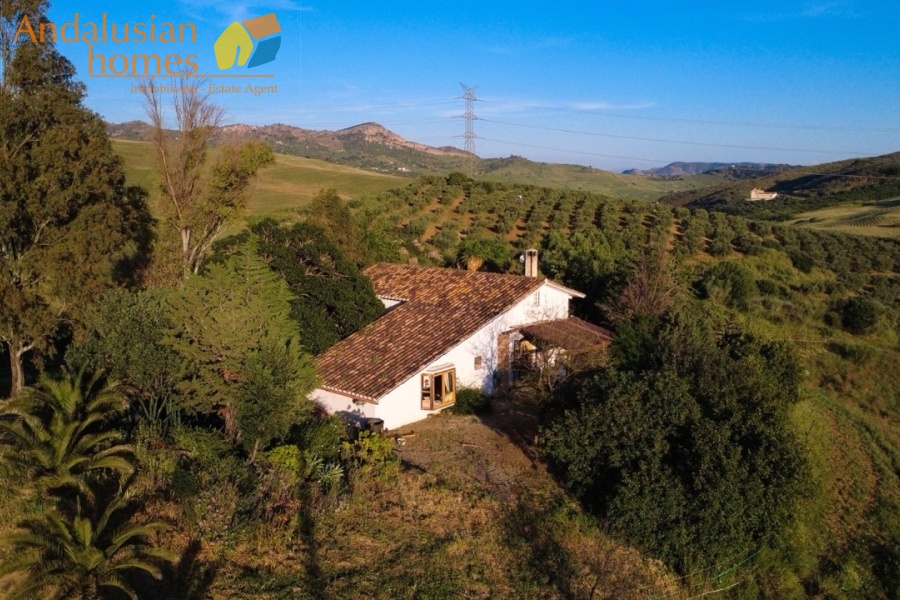 finca for sale, property for sale Álora, finca for sale Málaga, equestrian property Spain, horse property Spain, equestrian finca Málaga, country house Álora, rural property Málaga, Spanish finca, Andalusian finca, property with stables, horse finca, finca with guest apartments, property with guest accommodation, finca with swimming pool, 32,000m2 finca, land for sale Álora, horse riding property Spain, OCA horse licence, property with riding arenas, rural retreat Spain, investment property Málaga, multi-family property Spain, country estate Málaga,finca en venta, finca en venta Álora, finca en venta Málaga, propiedad ecuestre España, finca ecuestre Málaga, finca para caballos, propiedad rural Álora, casa de campo Málaga, finca rústica Andalucía, finca andaluza, propiedad con establos, finca con boxes para caballos, finca con apartamentos, finca con alojamiento independiente, finca con piscina, finca de 32.000 m², terreno en venta Álora, propiedad para caballos España, licencia OCA caballos, finca con pistas ecuestres, propiedad rural Andalucía, finca para inversión Málaga, finca con apartamentos independientes, cortijo en venta Málaga, finca privada Álora
