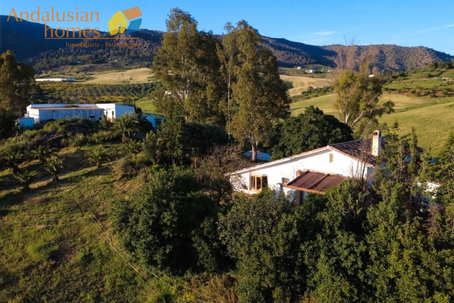 finca for sale, property for sale Álora, finca for sale Málaga, equestrian property Spain, horse property Spain, equestrian finca Málaga, country house Álora, rural property Málaga, Spanish finca, Andalusian finca, property with stables, horse finca, finca with guest apartments, property with guest accommodation, finca with swimming pool, 32,000m2 finca, land for sale Álora, horse riding property Spain, OCA horse licence, property with riding arenas, rural retreat Spain, investment property Málaga, multi-family property Spain, country estate Málaga,finca en venta, finca en venta Álora, finca en venta Málaga, propiedad ecuestre España, finca ecuestre Málaga, finca para caballos, propiedad rural Álora, casa de campo Málaga, finca rústica Andalucía, finca andaluza, propiedad con establos, finca con boxes para caballos, finca con apartamentos, finca con alojamiento independiente, finca con piscina, finca de 32.000 m², terreno en venta Álora, propiedad para caballos España, licencia OCA caballos, finca con pistas ecuestres, propiedad rural Andalucía, finca para inversión Málaga, finca con apartamentos independientes, cortijo en venta Málaga, finca privada Álora