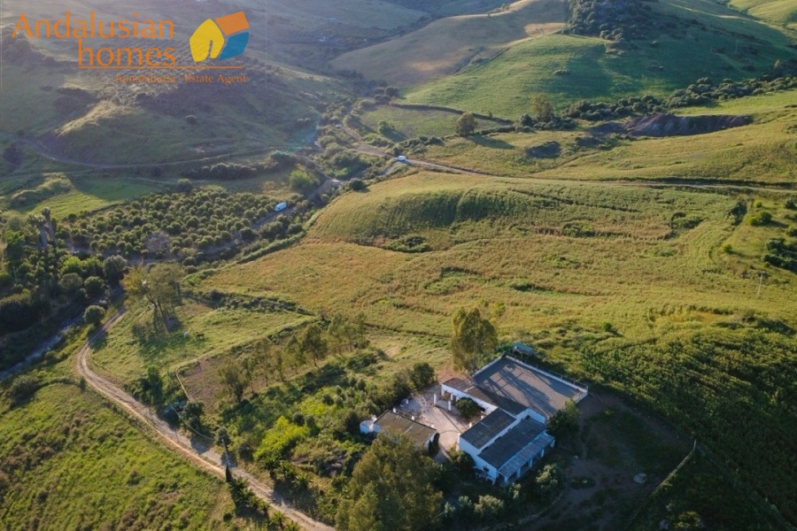finca for sale, property for sale Álora, finca for sale Málaga, equestrian property Spain, horse property Spain, equestrian finca Málaga, country house Álora, rural property Málaga, Spanish finca, Andalusian finca, property with stables, horse finca, finca with guest apartments, property with guest accommodation, finca with swimming pool, 32,000m2 finca, land for sale Álora, horse riding property Spain, OCA horse licence, property with riding arenas, rural retreat Spain, investment property Málaga, multi-family property Spain, country estate Málaga,finca en venta, finca en venta Álora, finca en venta Málaga, propiedad ecuestre España, finca ecuestre Málaga, finca para caballos, propiedad rural Álora, casa de campo Málaga, finca rústica Andalucía, finca andaluza, propiedad con establos, finca con boxes para caballos, finca con apartamentos, finca con alojamiento independiente, finca con piscina, finca de 32.000 m², terreno en venta Álora, propiedad para caballos España, licencia OCA caballos, finca con pistas ecuestres, propiedad rural Andalucía, finca para inversión Málaga, finca con apartamentos independientes, cortijo en venta Málaga, finca privada Álora