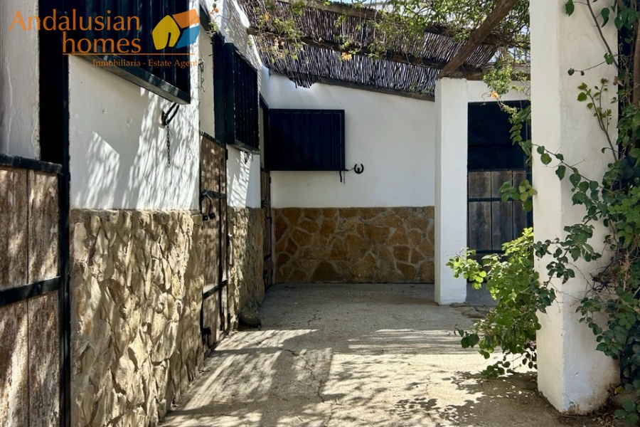 finca for sale, property for sale Álora, finca for sale Málaga, equestrian property Spain, horse property Spain, equestrian finca Málaga, country house Álora, rural property Málaga, Spanish finca, Andalusian finca, property with stables, horse finca, finca with guest apartments, property with guest accommodation, finca with swimming pool, 32,000m2 finca, land for sale Álora, horse riding property Spain, OCA horse licence, property with riding arenas, rural retreat Spain, investment property Málaga, multi-family property Spain, country estate Málaga,finca en venta, finca en venta Álora, finca en venta Málaga, propiedad ecuestre España, finca ecuestre Málaga, finca para caballos, propiedad rural Álora, casa de campo Málaga, finca rústica Andalucía, finca andaluza, propiedad con establos, finca con boxes para caballos, finca con apartamentos, finca con alojamiento independiente, finca con piscina, finca de 32.000 m², terreno en venta Álora, propiedad para caballos España, licencia OCA caballos, finca con pistas ecuestres, propiedad rural Andalucía, finca para inversión Málaga, finca con apartamentos independientes, cortijo en venta Málaga, finca privada Álora