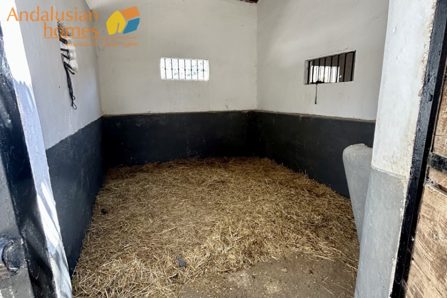 finca for sale, property for sale Álora, finca for sale Málaga, equestrian property Spain, horse property Spain, equestrian finca Málaga, country house Álora, rural property Málaga, Spanish finca, Andalusian finca, property with stables, horse finca, finca with guest apartments, property with guest accommodation, finca with swimming pool, 32,000m2 finca, land for sale Álora, horse riding property Spain, OCA horse licence, property with riding arenas, rural retreat Spain, investment property Málaga, multi-family property Spain, country estate Málaga,finca en venta, finca en venta Álora, finca en venta Málaga, propiedad ecuestre España, finca ecuestre Málaga, finca para caballos, propiedad rural Álora, casa de campo Málaga, finca rústica Andalucía, finca andaluza, propiedad con establos, finca con boxes para caballos, finca con apartamentos, finca con alojamiento independiente, finca con piscina, finca de 32.000 m², terreno en venta Álora, propiedad para caballos España, licencia OCA caballos, finca con pistas ecuestres, propiedad rural Andalucía, finca para inversión Málaga, finca con apartamentos independientes, cortijo en venta Málaga, finca privada Álora