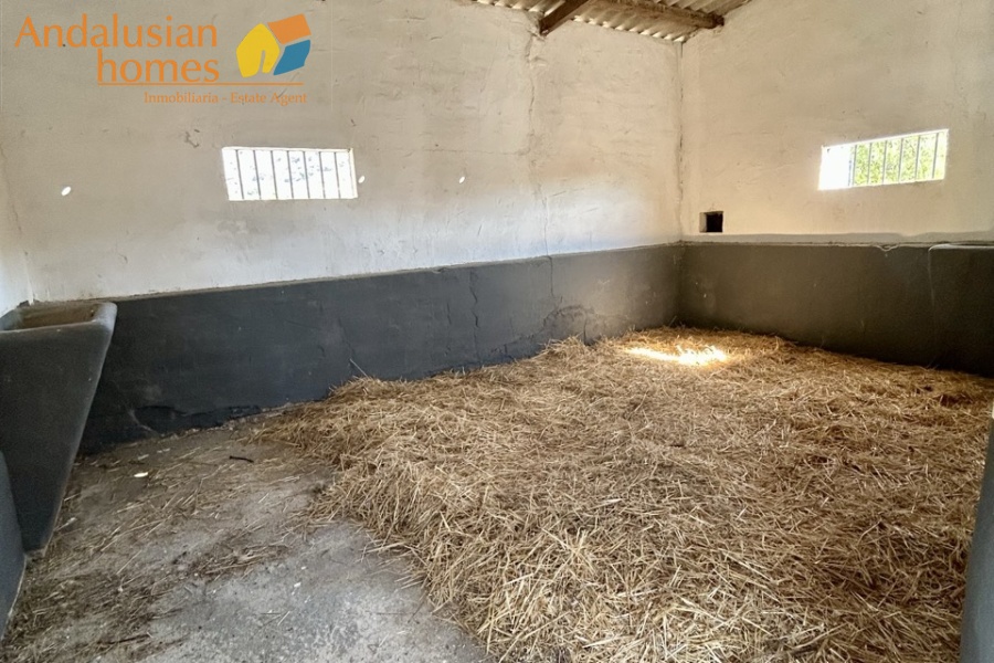 finca for sale, property for sale Álora, finca for sale Málaga, equestrian property Spain, horse property Spain, equestrian finca Málaga, country house Álora, rural property Málaga, Spanish finca, Andalusian finca, property with stables, horse finca, finca with guest apartments, property with guest accommodation, finca with swimming pool, 32,000m2 finca, land for sale Álora, horse riding property Spain, OCA horse licence, property with riding arenas, rural retreat Spain, investment property Málaga, multi-family property Spain, country estate Málaga,finca en venta, finca en venta Álora, finca en venta Málaga, propiedad ecuestre España, finca ecuestre Málaga, finca para caballos, propiedad rural Álora, casa de campo Málaga, finca rústica Andalucía, finca andaluza, propiedad con establos, finca con boxes para caballos, finca con apartamentos, finca con alojamiento independiente, finca con piscina, finca de 32.000 m², terreno en venta Álora, propiedad para caballos España, licencia OCA caballos, finca con pistas ecuestres, propiedad rural Andalucía, finca para inversión Málaga, finca con apartamentos independientes, cortijo en venta Málaga, finca privada Álora