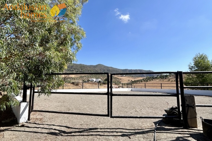 finca for sale, property for sale Álora, finca for sale Málaga, equestrian property Spain, horse property Spain, equestrian finca Málaga, country house Álora, rural property Málaga, Spanish finca, Andalusian finca, property with stables, horse finca, finca with guest apartments, property with guest accommodation, finca with swimming pool, 32,000m2 finca, land for sale Álora, horse riding property Spain, OCA horse licence, property with riding arenas, rural retreat Spain, investment property Málaga, multi-family property Spain, country estate Málaga,finca en venta, finca en venta Álora, finca en venta Málaga, propiedad ecuestre España, finca ecuestre Málaga, finca para caballos, propiedad rural Álora, casa de campo Málaga, finca rústica Andalucía, finca andaluza, propiedad con establos, finca con boxes para caballos, finca con apartamentos, finca con alojamiento independiente, finca con piscina, finca de 32.000 m², terreno en venta Álora, propiedad para caballos España, licencia OCA caballos, finca con pistas ecuestres, propiedad rural Andalucía, finca para inversión Málaga, finca con apartamentos independientes, cortijo en venta Málaga, finca privada Álora