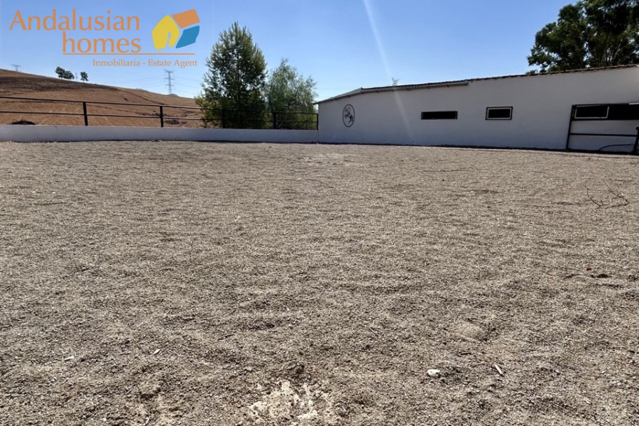 finca for sale, property for sale Álora, finca for sale Málaga, equestrian property Spain, horse property Spain, equestrian finca Málaga, country house Álora, rural property Málaga, Spanish finca, Andalusian finca, property with stables, horse finca, finca with guest apartments, property with guest accommodation, finca with swimming pool, 32,000m2 finca, land for sale Álora, horse riding property Spain, OCA horse licence, property with riding arenas, rural retreat Spain, investment property Málaga, multi-family property Spain, country estate Málaga,finca en venta, finca en venta Álora, finca en venta Málaga, propiedad ecuestre España, finca ecuestre Málaga, finca para caballos, propiedad rural Álora, casa de campo Málaga, finca rústica Andalucía, finca andaluza, propiedad con establos, finca con boxes para caballos, finca con apartamentos, finca con alojamiento independiente, finca con piscina, finca de 32.000 m², terreno en venta Álora, propiedad para caballos España, licencia OCA caballos, finca con pistas ecuestres, propiedad rural Andalucía, finca para inversión Málaga, finca con apartamentos independientes, cortijo en venta Málaga, finca privada Álora