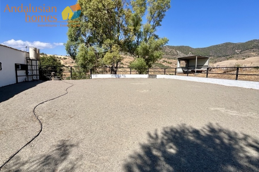 finca for sale, property for sale Álora, finca for sale Málaga, equestrian property Spain, horse property Spain, equestrian finca Málaga, country house Álora, rural property Málaga, Spanish finca, Andalusian finca, property with stables, horse finca, finca with guest apartments, property with guest accommodation, finca with swimming pool, 32,000m2 finca, land for sale Álora, horse riding property Spain, OCA horse licence, property with riding arenas, rural retreat Spain, investment property Málaga, multi-family property Spain, country estate Málaga,finca en venta, finca en venta Álora, finca en venta Málaga, propiedad ecuestre España, finca ecuestre Málaga, finca para caballos, propiedad rural Álora, casa de campo Málaga, finca rústica Andalucía, finca andaluza, propiedad con establos, finca con boxes para caballos, finca con apartamentos, finca con alojamiento independiente, finca con piscina, finca de 32.000 m², terreno en venta Álora, propiedad para caballos España, licencia OCA caballos, finca con pistas ecuestres, propiedad rural Andalucía, finca para inversión Málaga, finca con apartamentos independientes, cortijo en venta Málaga, finca privada Álora