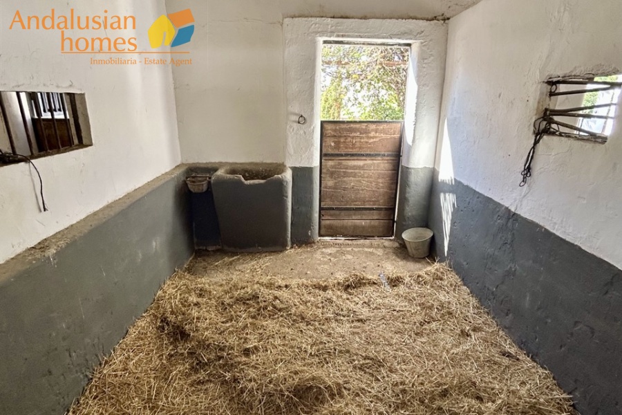 finca for sale, property for sale Álora, finca for sale Málaga, equestrian property Spain, horse property Spain, equestrian finca Málaga, country house Álora, rural property Málaga, Spanish finca, Andalusian finca, property with stables, horse finca, finca with guest apartments, property with guest accommodation, finca with swimming pool, 32,000m2 finca, land for sale Álora, horse riding property Spain, OCA horse licence, property with riding arenas, rural retreat Spain, investment property Málaga, multi-family property Spain, country estate Málaga,finca en venta, finca en venta Álora, finca en venta Málaga, propiedad ecuestre España, finca ecuestre Málaga, finca para caballos, propiedad rural Álora, casa de campo Málaga, finca rústica Andalucía, finca andaluza, propiedad con establos, finca con boxes para caballos, finca con apartamentos, finca con alojamiento independiente, finca con piscina, finca de 32.000 m², terreno en venta Álora, propiedad para caballos España, licencia OCA caballos, finca con pistas ecuestres, propiedad rural Andalucía, finca para inversión Málaga, finca con apartamentos independientes, cortijo en venta Málaga, finca privada Álora