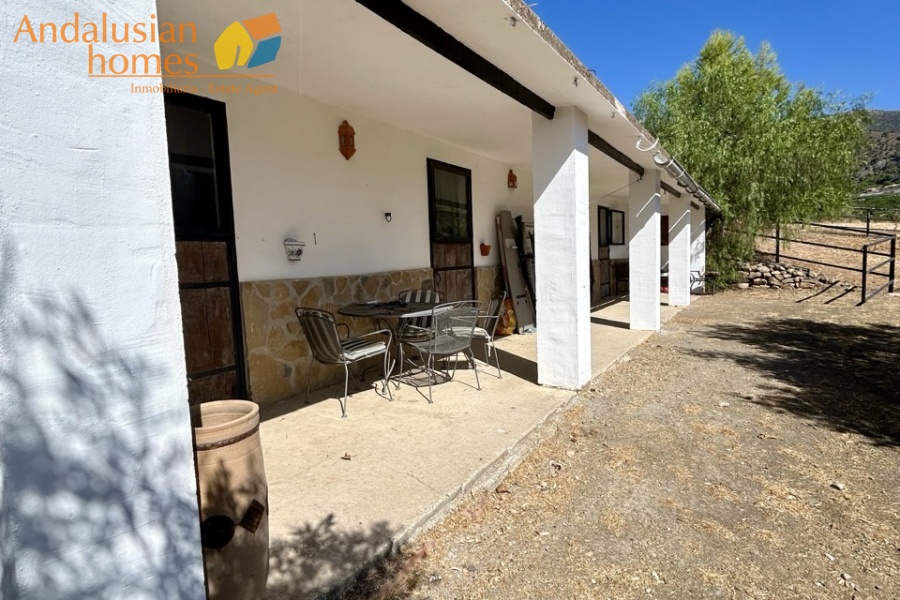 finca for sale, property for sale Álora, finca for sale Málaga, equestrian property Spain, horse property Spain, equestrian finca Málaga, country house Álora, rural property Málaga, Spanish finca, Andalusian finca, property with stables, horse finca, finca with guest apartments, property with guest accommodation, finca with swimming pool, 32,000m2 finca, land for sale Álora, horse riding property Spain, OCA horse licence, property with riding arenas, rural retreat Spain, investment property Málaga, multi-family property Spain, country estate Málaga,finca en venta, finca en venta Álora, finca en venta Málaga, propiedad ecuestre España, finca ecuestre Málaga, finca para caballos, propiedad rural Álora, casa de campo Málaga, finca rústica Andalucía, finca andaluza, propiedad con establos, finca con boxes para caballos, finca con apartamentos, finca con alojamiento independiente, finca con piscina, finca de 32.000 m², terreno en venta Álora, propiedad para caballos España, licencia OCA caballos, finca con pistas ecuestres, propiedad rural Andalucía, finca para inversión Málaga, finca con apartamentos independientes, cortijo en venta Málaga, finca privada Álora