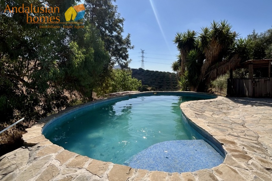 finca for sale, property for sale Álora, finca for sale Málaga, equestrian property Spain, horse property Spain, equestrian finca Málaga, country house Álora, rural property Málaga, Spanish finca, Andalusian finca, property with stables, horse finca, finca with guest apartments, property with guest accommodation, finca with swimming pool, 32,000m2 finca, land for sale Álora, horse riding property Spain, OCA horse licence, property with riding arenas, rural retreat Spain, investment property Málaga, multi-family property Spain, country estate Málaga,finca en venta, finca en venta Álora, finca en venta Málaga, propiedad ecuestre España, finca ecuestre Málaga, finca para caballos, propiedad rural Álora, casa de campo Málaga, finca rústica Andalucía, finca andaluza, propiedad con establos, finca con boxes para caballos, finca con apartamentos, finca con alojamiento independiente, finca con piscina, finca de 32.000 m², terreno en venta Álora, propiedad para caballos España, licencia OCA caballos, finca con pistas ecuestres, propiedad rural Andalucía, finca para inversión Málaga, finca con apartamentos independientes, cortijo en venta Málaga, finca privada Álora