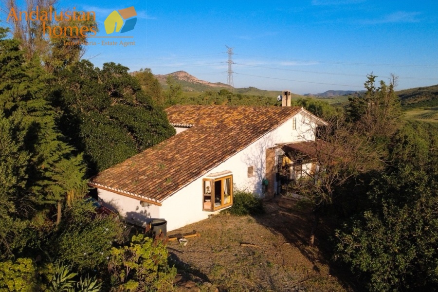 finca for sale, property for sale Álora, finca for sale Málaga, equestrian property Spain, horse property Spain, equestrian finca Málaga, country house Álora, rural property Málaga, Spanish finca, Andalusian finca, property with stables, horse finca, finca with guest apartments, property with guest accommodation, finca with swimming pool, 32,000m2 finca, land for sale Álora, horse riding property Spain, OCA horse licence, property with riding arenas, rural retreat Spain, investment property Málaga, multi-family property Spain, country estate Málaga,finca en venta, finca en venta Álora, finca en venta Málaga, propiedad ecuestre España, finca ecuestre Málaga, finca para caballos, propiedad rural Álora, casa de campo Málaga, finca rústica Andalucía, finca andaluza, propiedad con establos, finca con boxes para caballos, finca con apartamentos, finca con alojamiento independiente, finca con piscina, finca de 32.000 m², terreno en venta Álora, propiedad para caballos España, licencia OCA caballos, finca con pistas ecuestres, propiedad rural Andalucía, finca para inversión Málaga, finca con apartamentos independientes, cortijo en venta Málaga, finca privada Álora